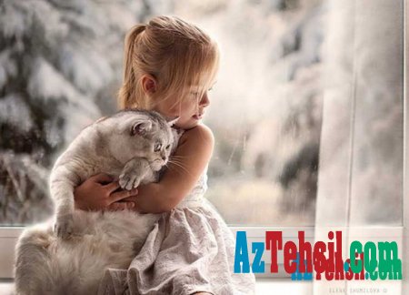 Домашние животные защищают детей от аллергии