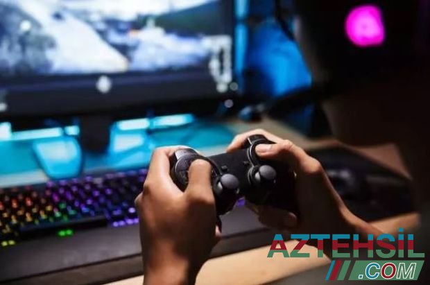 14-летний мальчик покончил с собой из-за онлайн-игры